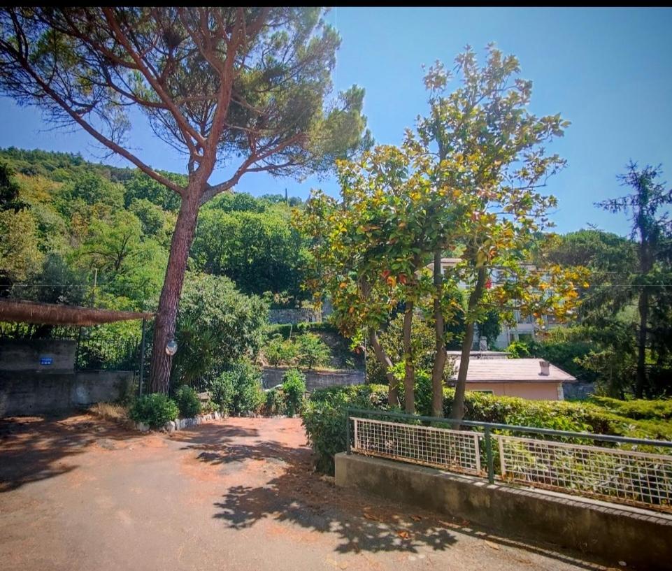 Forti Genova-Free Parking Castellaccio Apartment Génova Exterior foto